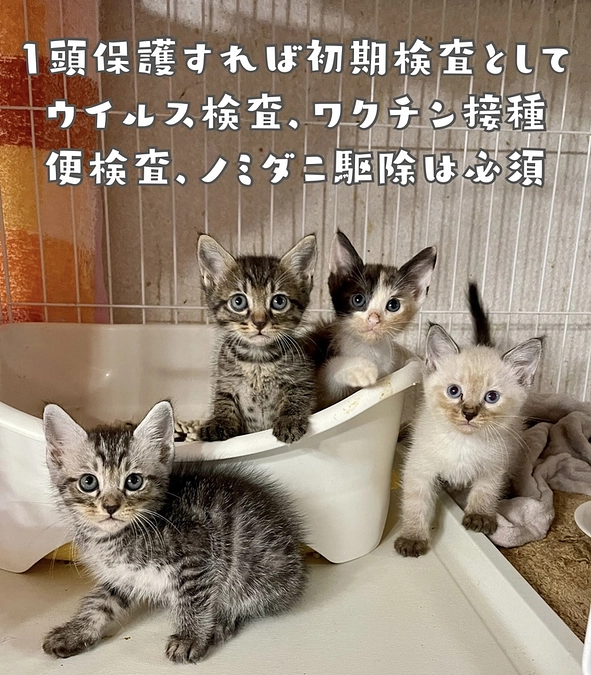 【本日最終日!!　残り8時間】最後にもう一度   