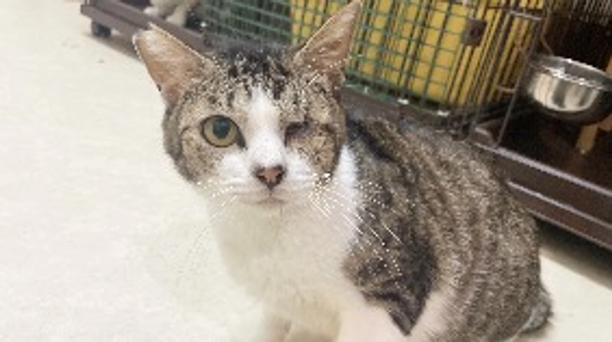 治せる病気になったＦＩＰを寿命にさせたくない