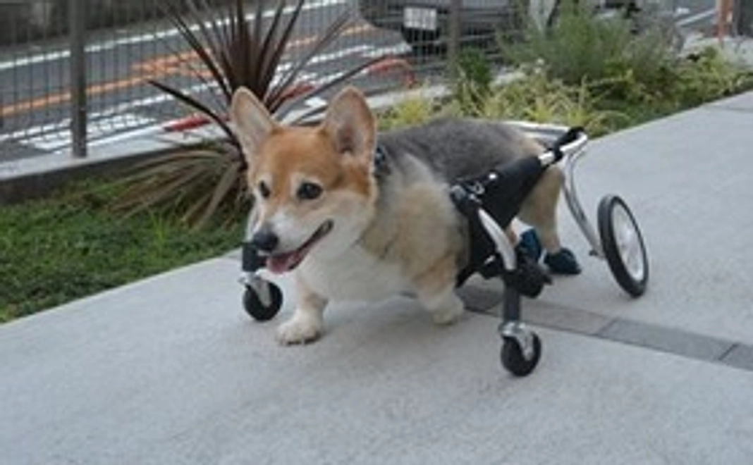 インスタなどで近況報告をさせていただきます