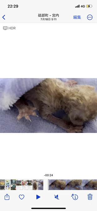 小さな大切な生命