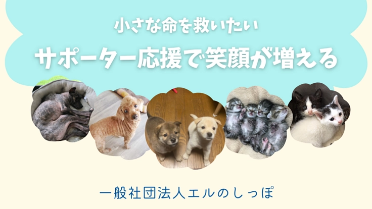 笑顔をふやす🐾しっぽサポーター