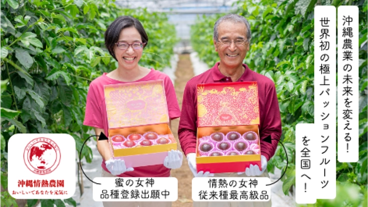 沖縄農業の未来を変える！世界初の極上パッションフルーツを全国へ！