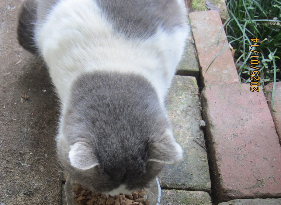 ちょっとだけ安心した事