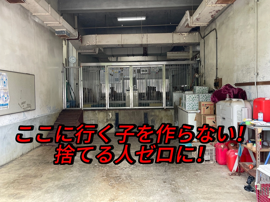 ただ保護をするだけじゃない。