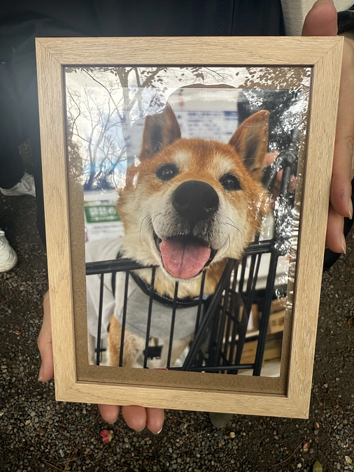 パロウくんお空へ