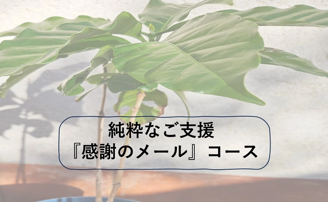 純粋なご支援『感謝のメール』　1000円コース