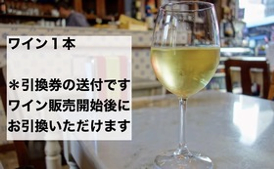 ワイン１本コース