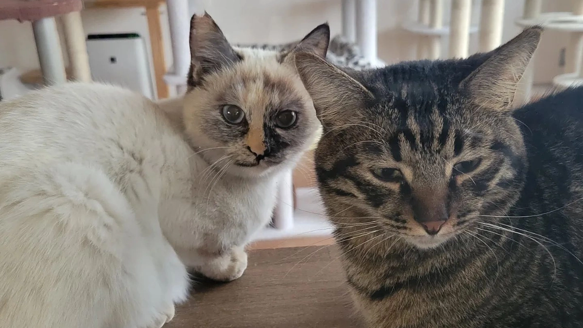 【70％突破！】感謝の気持ちとプロジェクトにかける思い