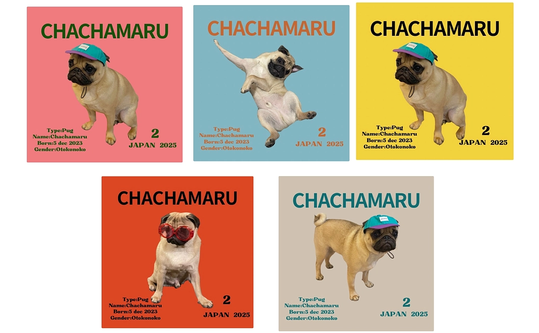 茶々丸へのご支援②