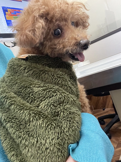 本日入院しました