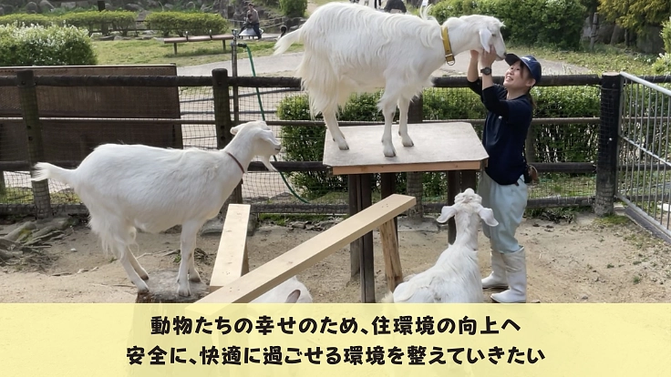 41年間みんなに愛される岡崎市東公園動物園。動物の住環境向上へ！ 4枚目