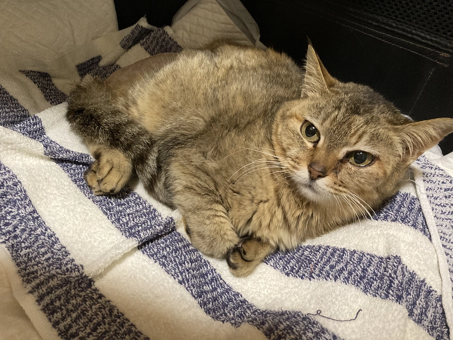 プロジェクト開始から、、、