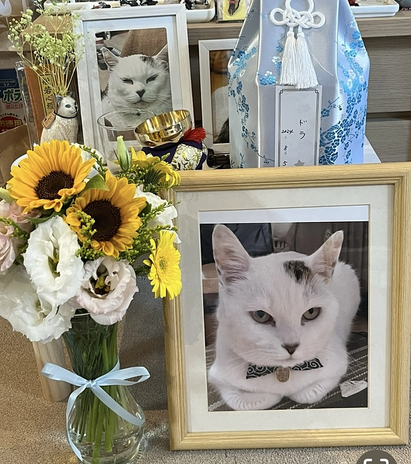 プロジェクトもうすぐ終了。最後のお願い🙇‍♀️