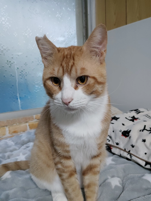 よろしくお願いいたします🙇