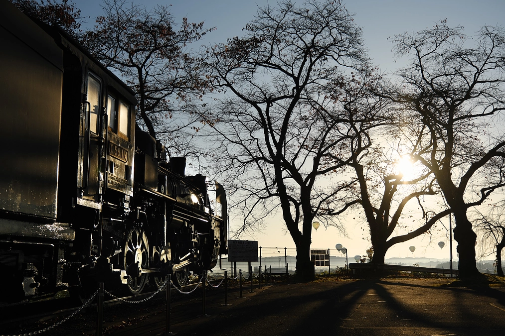 【NEWS】修繕活動第7週目・本年最後のボランティア修繕が完了となりました！