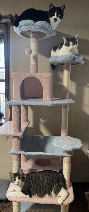 後残り1週間となりました