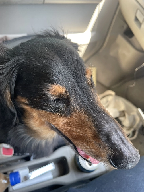 6月8日　治療に来ました