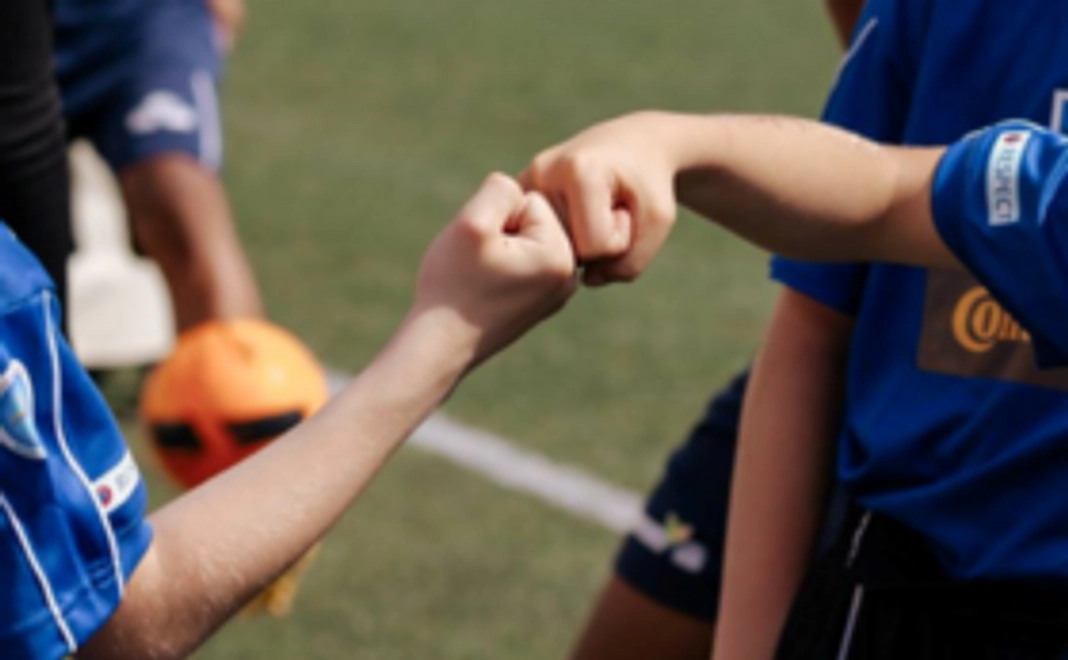 【3,000円】ふくでんかいサポーター