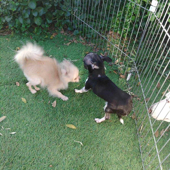 毎日が記念日🐾🍀