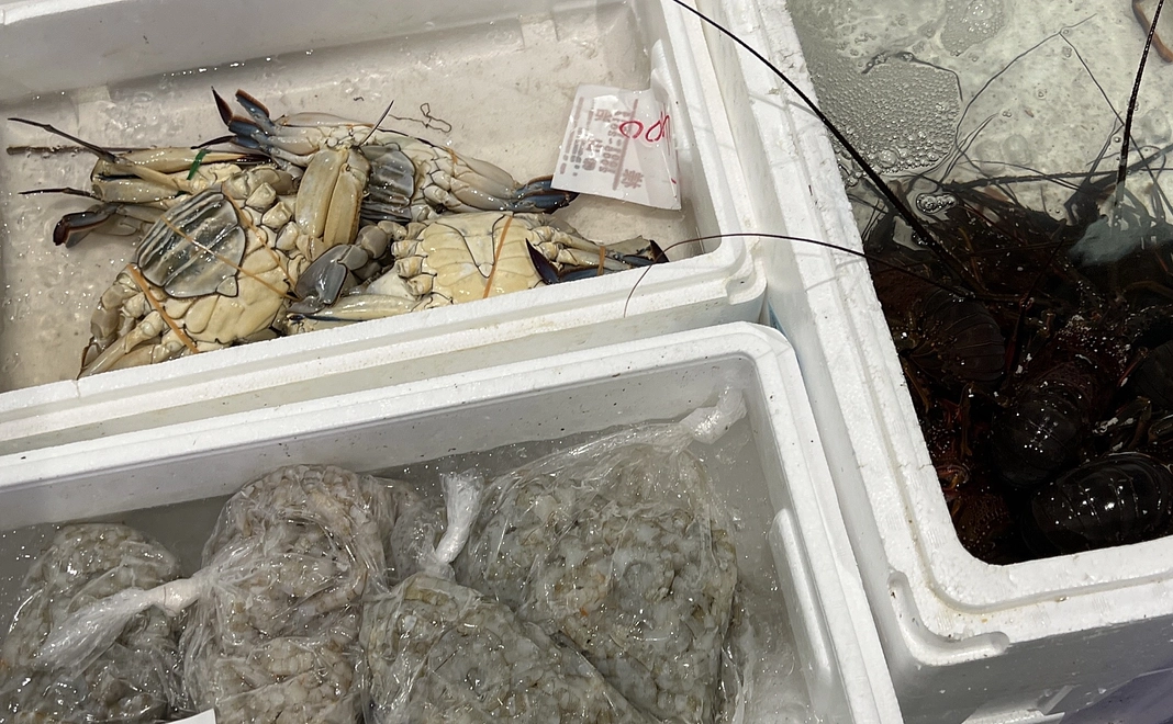 食事券【2回目以降ご来店で使用可能】。鮮魚発送。のいずれか。