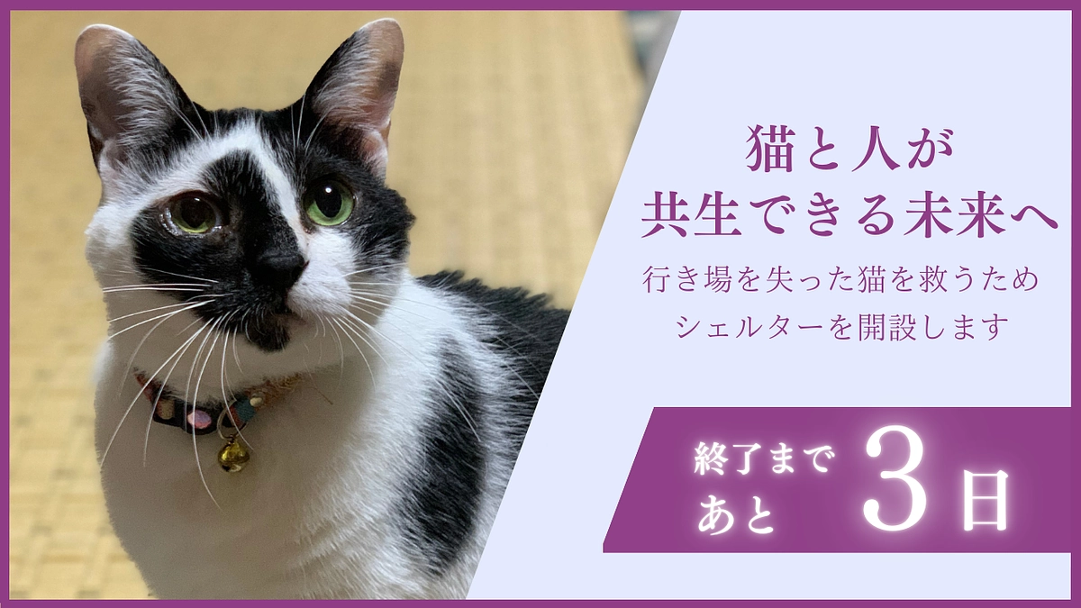 【あと3日】あたたかいメッセージに感謝いたします。