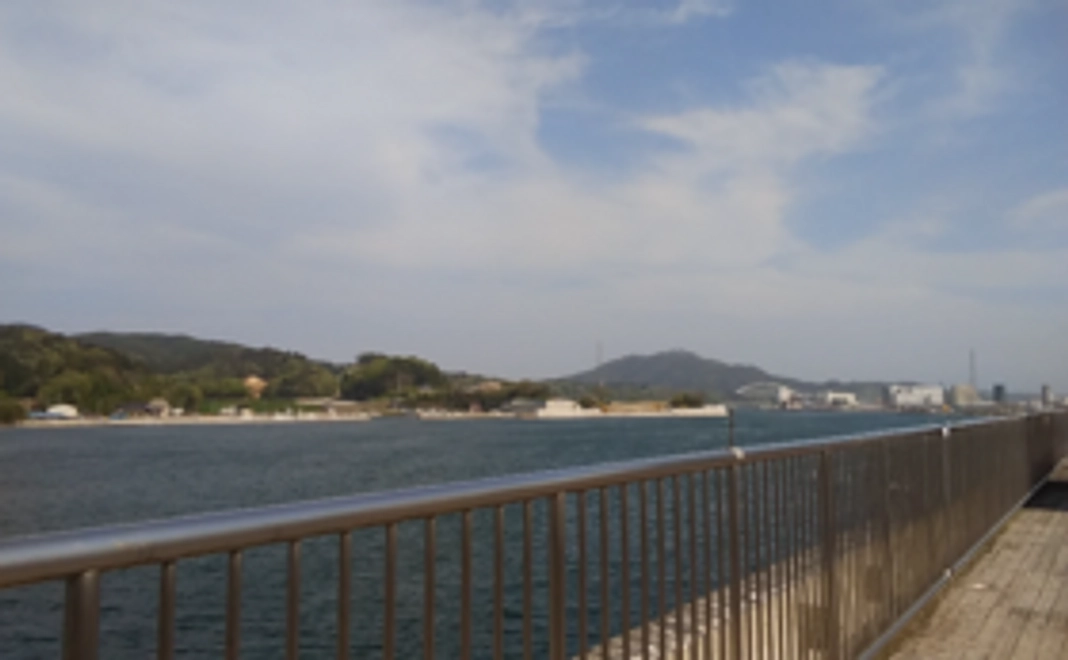 【全力応援コース】活動報告書に名前もしくは企業名掲載