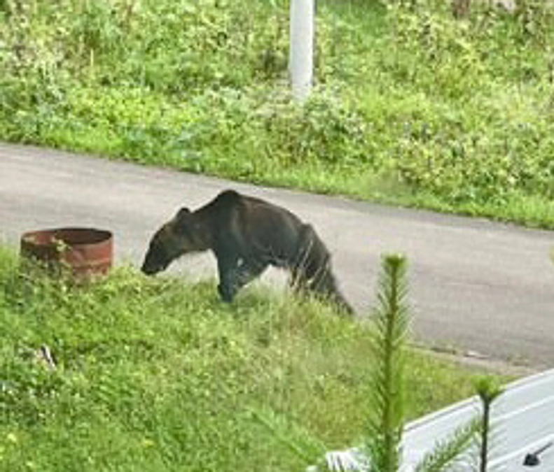 拡散してください、そして制作の苦労