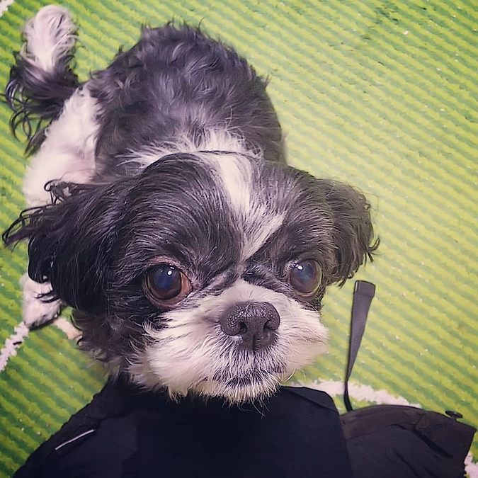 本日もご支援頂きました。ありがとうございます。