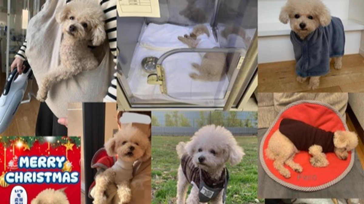 2023年ありがとうございました