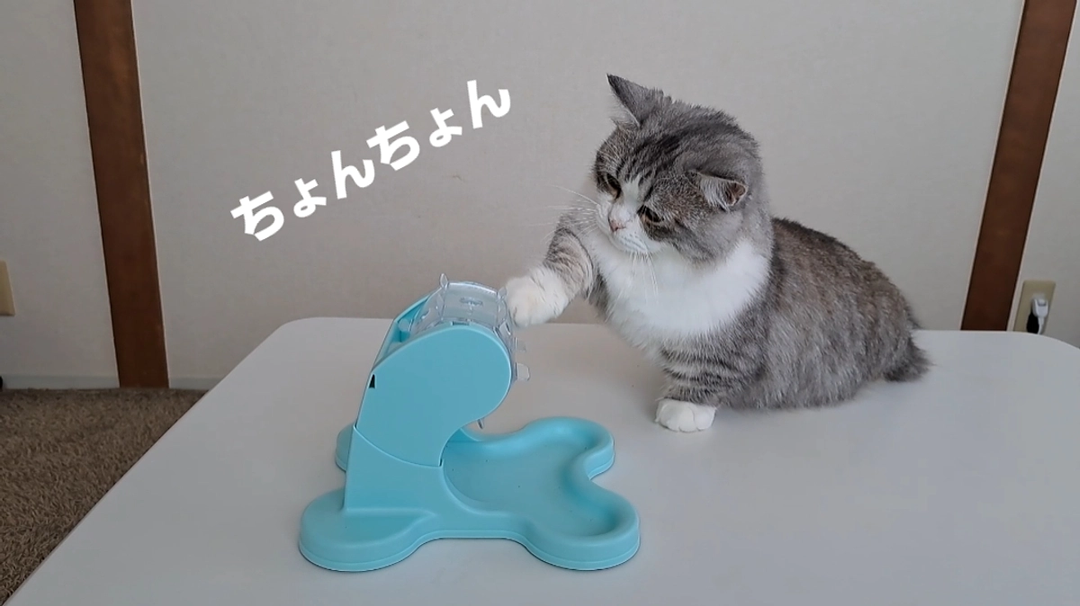 現在のココロ様子とリターンのお礼文