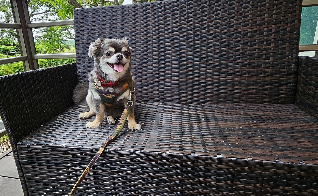 はじめまして…