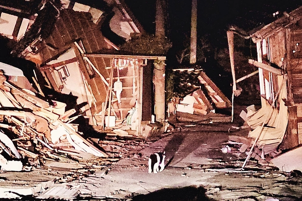 私たちがなんとかしなければ…。このプロジェクトも、大切な命のために絶対に達成しなければなりません