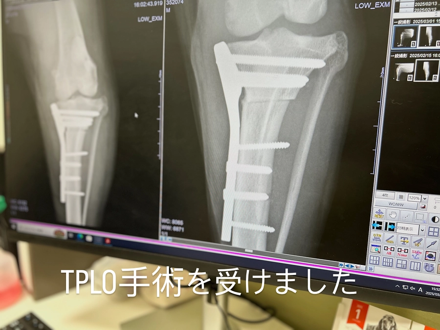 あと3週間を切りました。