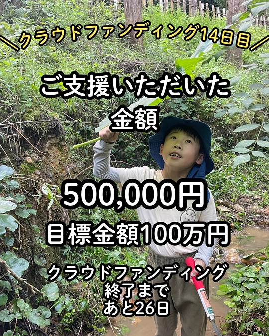 プロジェクト公開から14日目