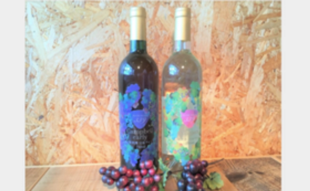 応援ありがとう2本セット