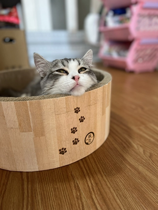 治療19日目今日も朝から元気な姿