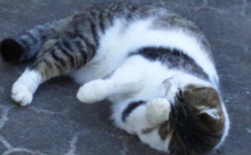 皆様の応援が集まり大きな力になります