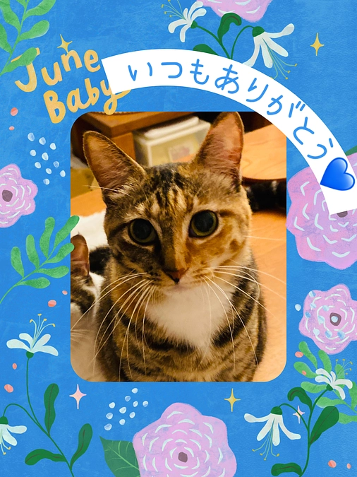 残り時間あと7時間となってしまいました💦