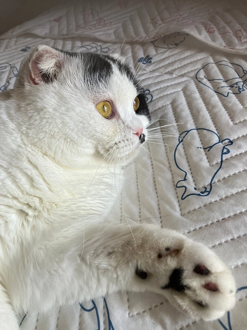 ありがとうございました