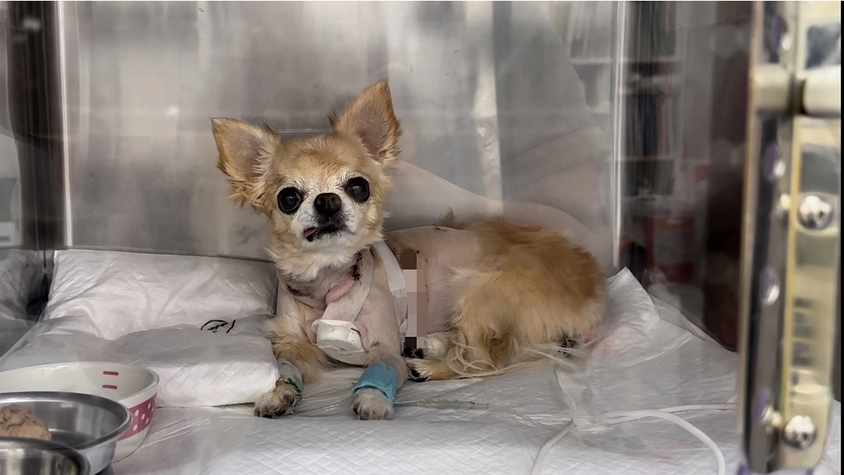 クラウドファンディング成立終了のご報告