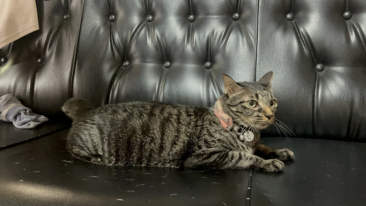 欠かせない活動報告。