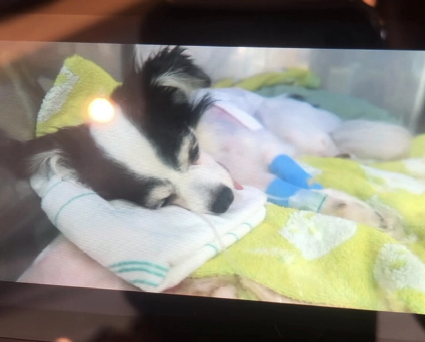 術後初めて動画面会に行ってきました