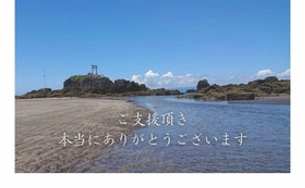 ②お礼のメッセージ・活動報告