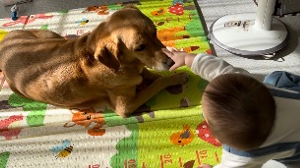 本当にありがとうございます。