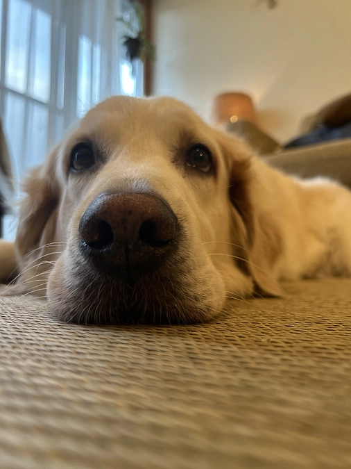 あと４日‼️(残り40%31万円)