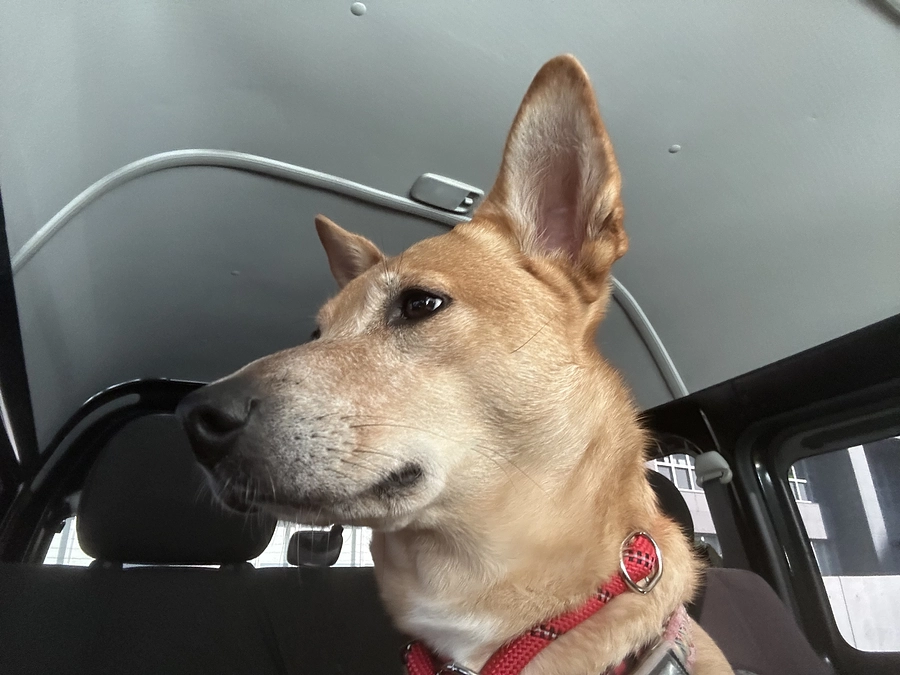 ページ訪問者が200人を超えて、本当に嬉しいです！