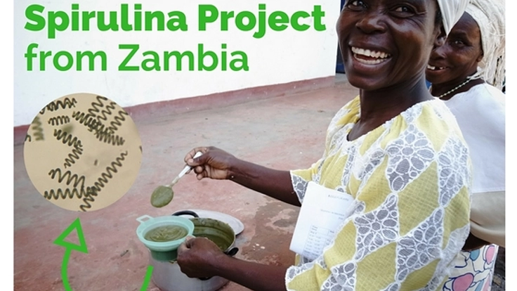 「藻」が世界を救う？ザンビア産スピルリナで、栄養革命を！
