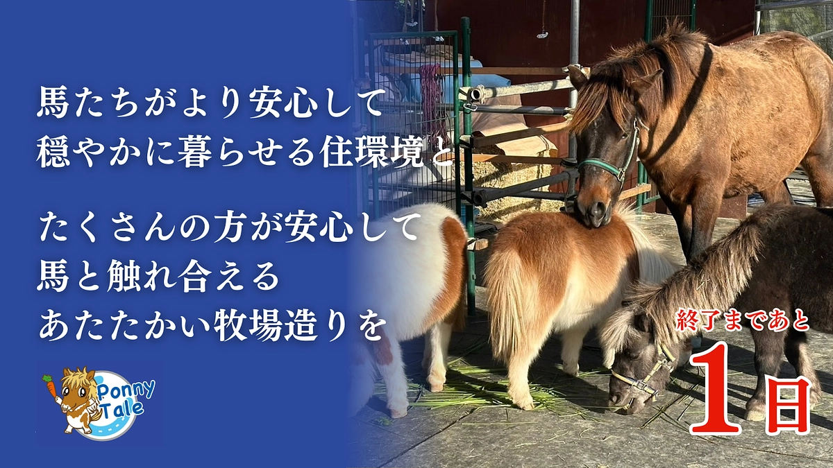 【残り1日】泣いても笑っても、明日が最終日