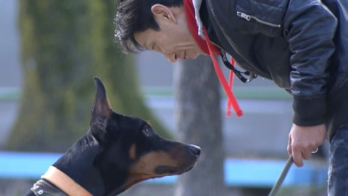 【高齢者と暮らしていたドーベルマン】人を咬み、殺処分寸前だったが「殺処分ゼロ」の旗印になり…