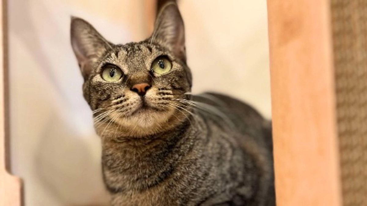 能登半島豪雨災害、現地より緊急支援の要請が 来ました。そして、皆さまへのお願いです
